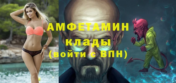 МДПВ Вяземский