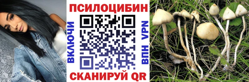 сколько стоит  Истра  Галлюциногенные грибы ЛСД 